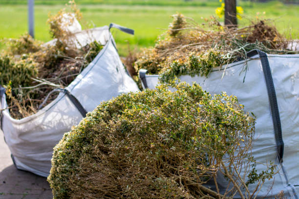 Shed Removal in Cordova, AL